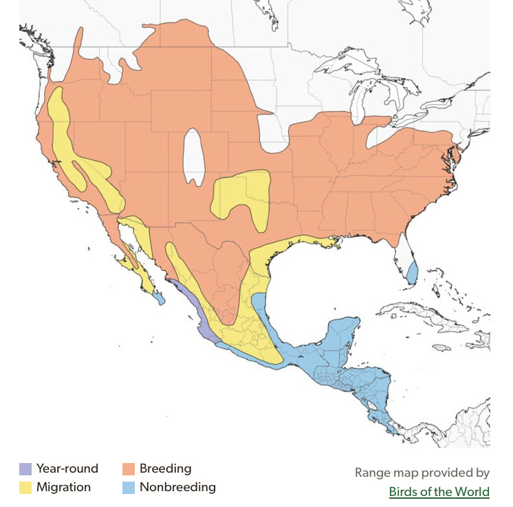 Screenshot 2025-07-11 at 8.54.35 PM.png Screenshot 2025-07-11 at 8.54.35 PM.png