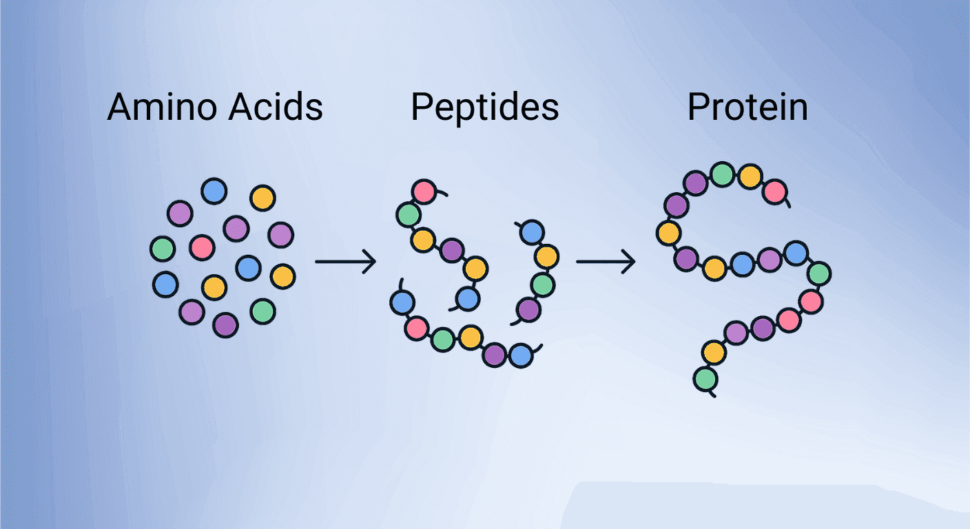 preparing bpc-157 Semaglutide vs Tirzepatide, Cagrilintide, and Retatrutide: Mechanisms &  Research Insights