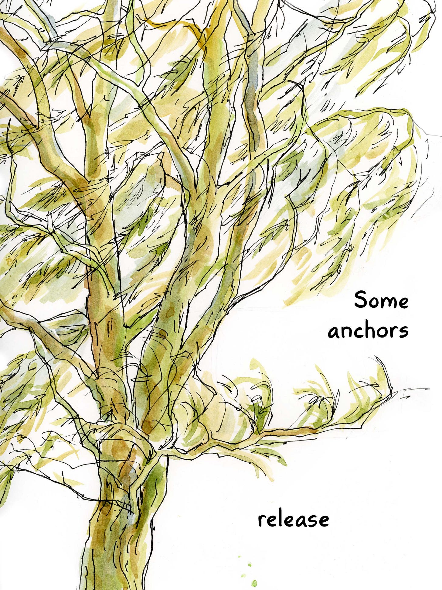 Watercolor comic by graphic novelist K. Woodman-Maynard of trees swaying in the wind, text reads “ Some anchors release.”