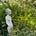 Jean F. Colson's avatar
