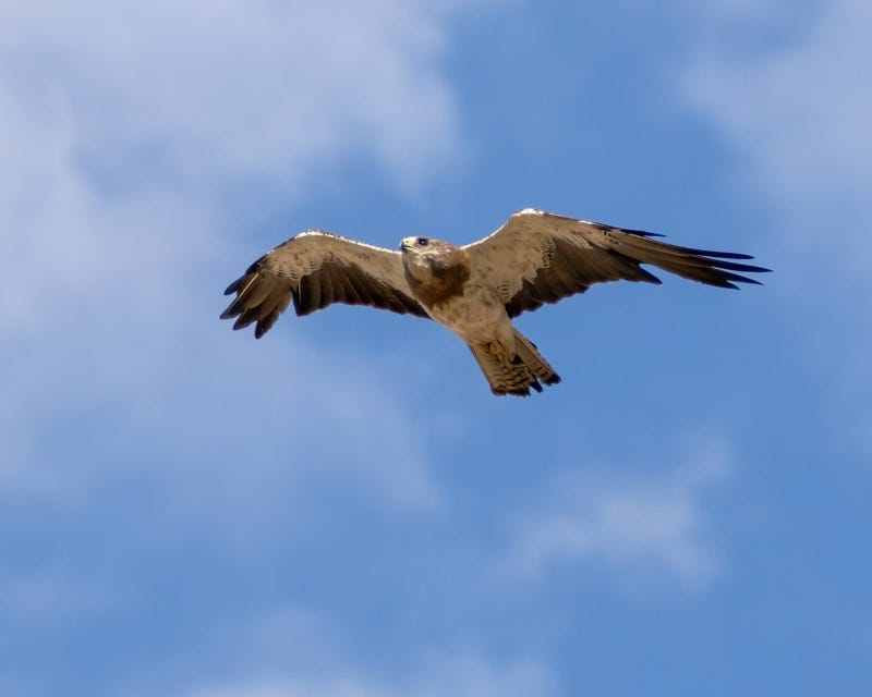 20250801-Manville-215-Edit.jpg 20250801-Manville-215-Edit.jpg