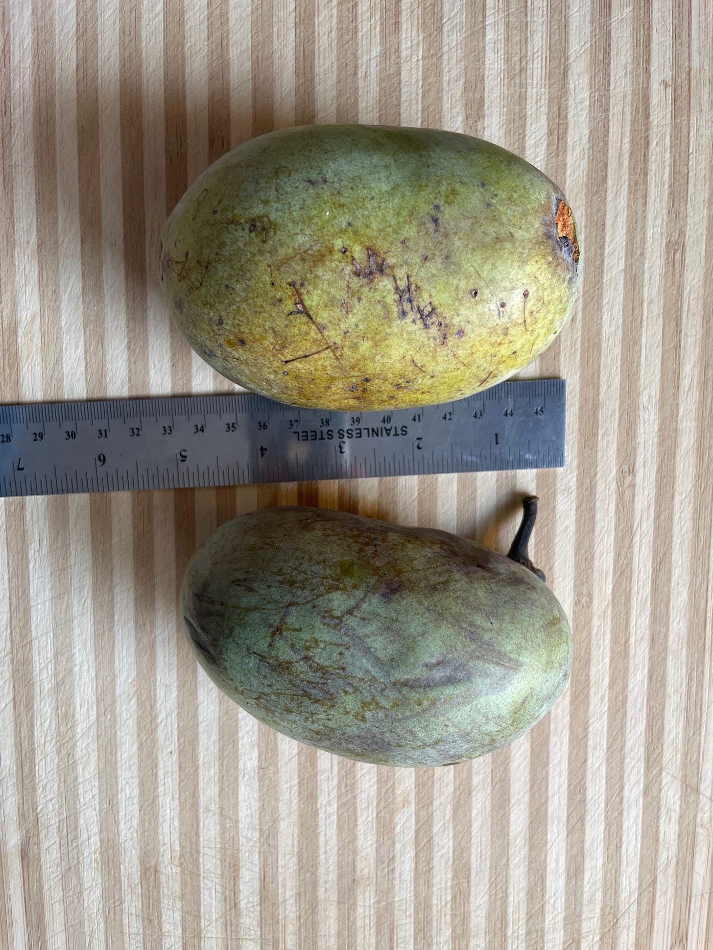 paw paw fruits paw paw fruits