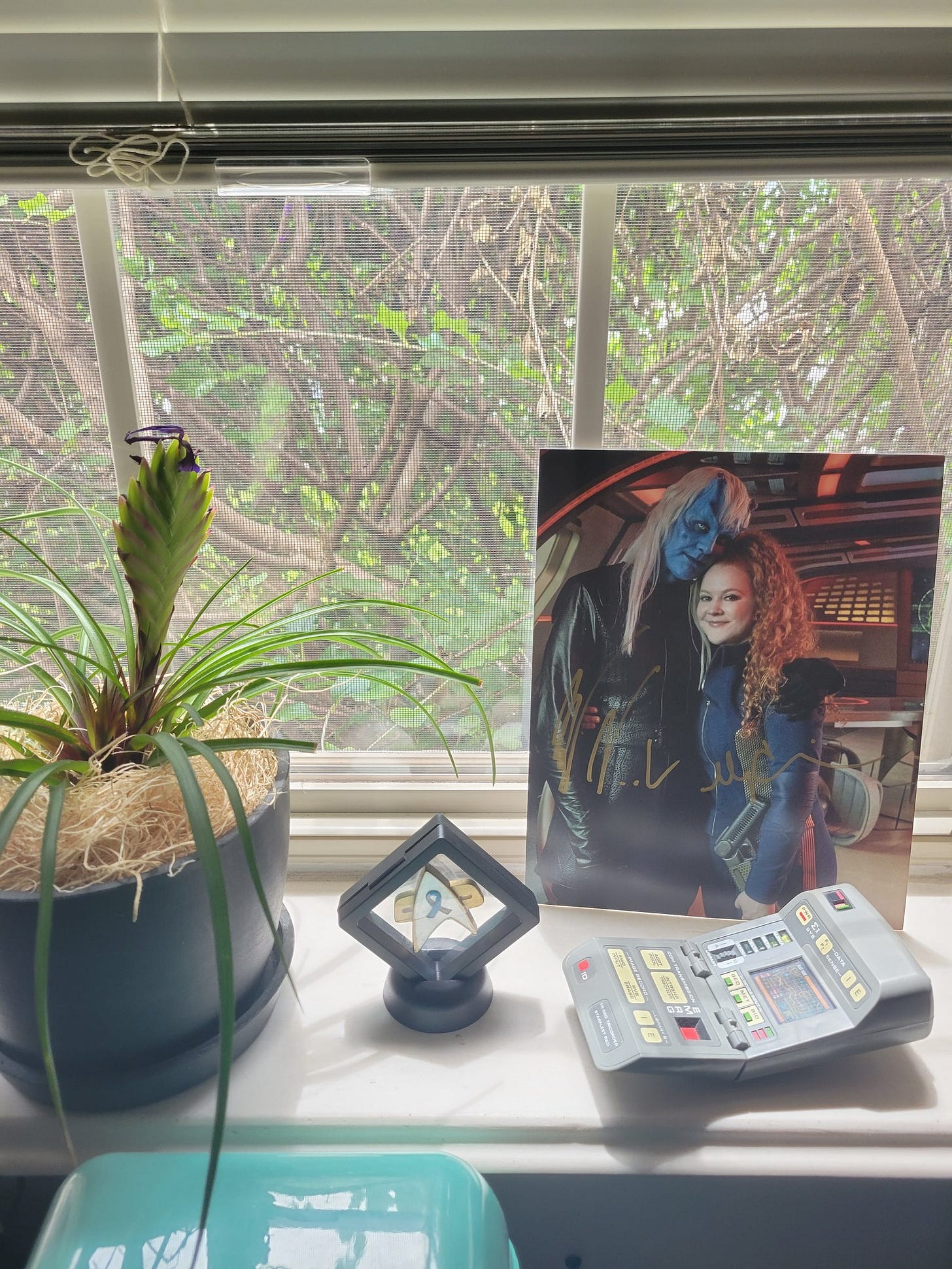 A signed photo of Noah and Mary on the Star Trek: Discovery set sits behind a TNG-style tricorder and next to a com badge with a diabetes awareness ribbon on it. To the left of these things is a tillandsia plant named Tilly after Mary’s character. A signed photo of Noah and Mary on the Star Trek: Discovery set sits behind a TNG-style tricorder and next to a com badge with a diabetes awareness ribbon on it. To the left of these things is a tillandsia plant named Tilly after Mary’s character.