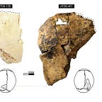 Anthropology.net