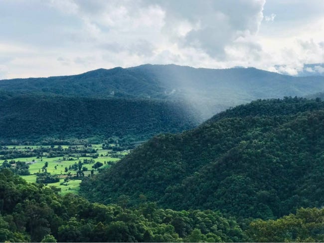 Les montagnes de Thaïlande recouvertes de jungle