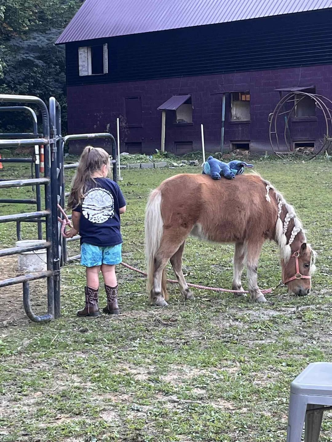 May be an image of 1 person and horse