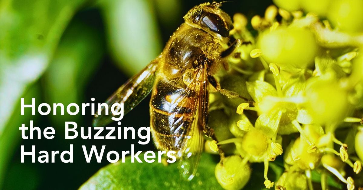 Help Our Buzzing Buddies on World Honey Bee Day