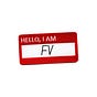 fv's avatar