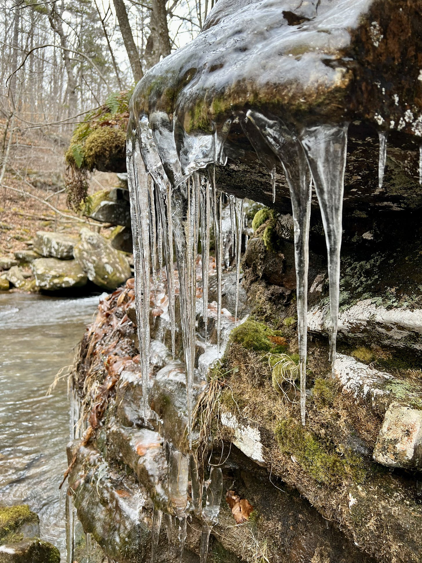 icicles on rock