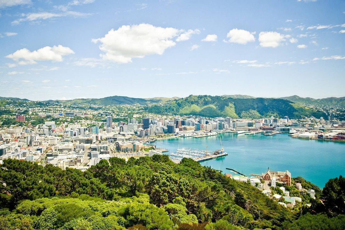 World Famous: Wellington's Mt Victoria Lookout Walk | Stuff.co.nz