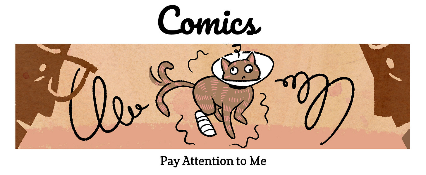 Illustration of a brown tabby cat looking dazed and confused with a giant cast on one leg and a cone around her neck. Silhouettes of a man and woman loom in the foreground, looking at her with concern. Text: Comics. Pay Attention to Me. Illustration of a brown tabby cat looking dazed and confused with a giant cast on one leg and a cone around her neck. Silhouettes of a man and woman loom in the foreground, looking at her with concern. Text: Comics. Pay Attention to Me.