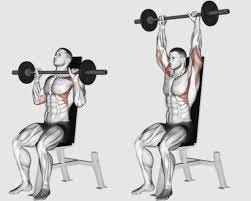 Barbell Shoulder Seated Shoulder Press ...