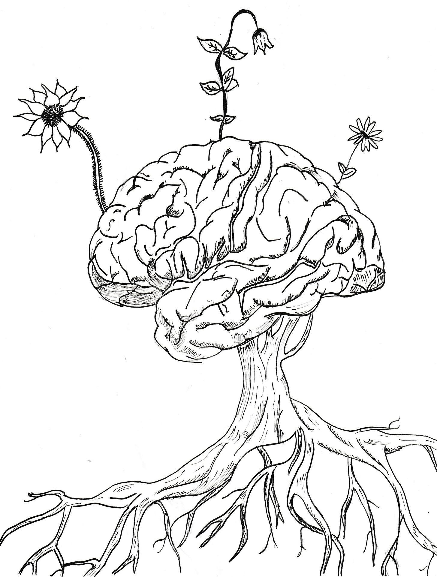 A black and white line-art illustration shows a human brain connected to a tree trunk and its roots. Three unique wildflowers are shown growing and blooming from the top of the brain. The style is clean, inked pen lines on a plain background. The illustration visually represents the concept of neuro-diversity and growth. A black and white line-art illustration shows a human brain connected to a tree trunk and its roots. Three unique wildflowers are shown growing and blooming from the top of the brain. The style is clean, inked pen lines on a plain background. The illustration visually represents the concept of neuro-diversity and growth.