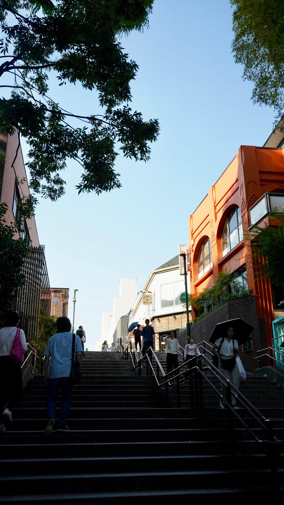 七井條通 七井條通