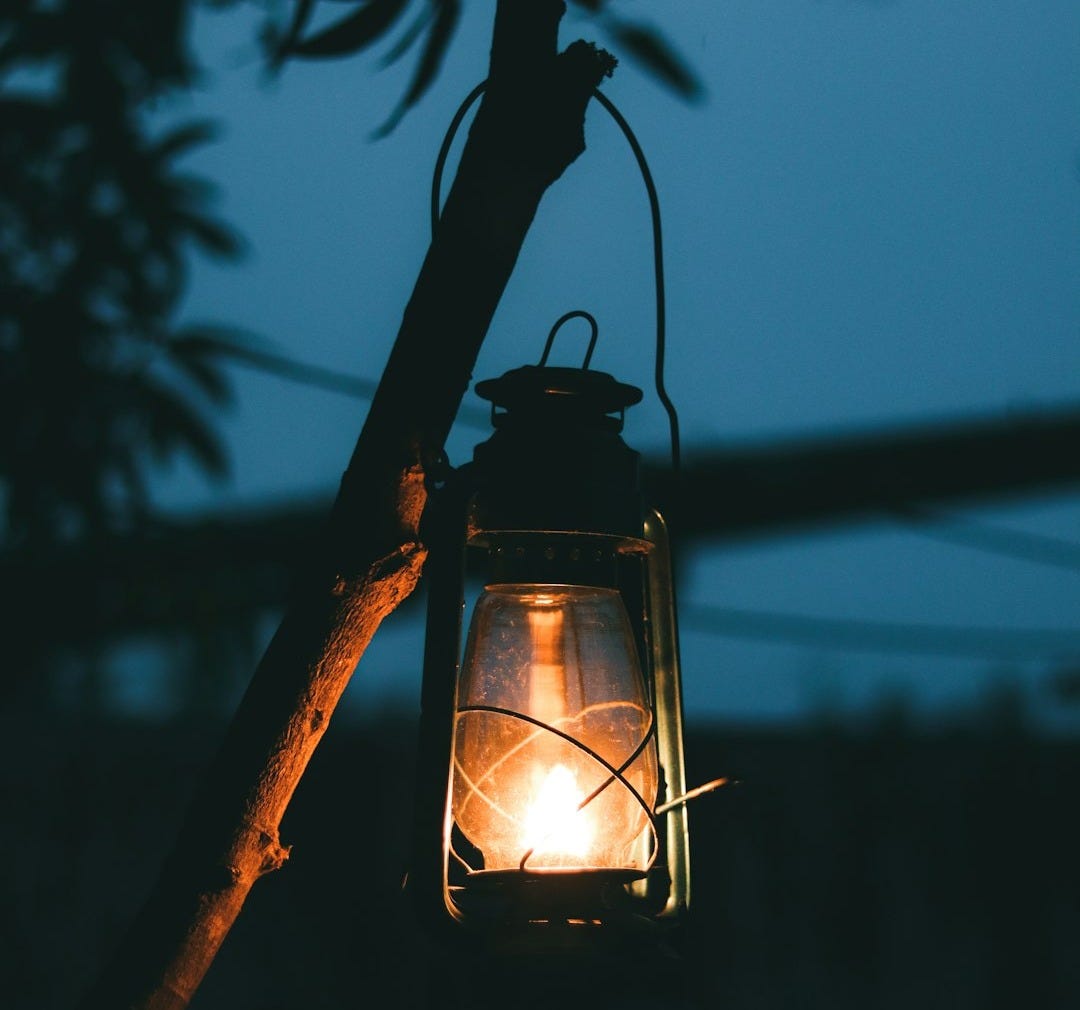 black lantern on tree branch during night time black lantern on tree branch during night time