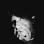 Lalo Azeta's avatar
