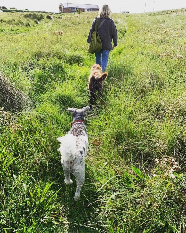 sally rogers dog walk