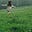 Rain meadow's avatar
