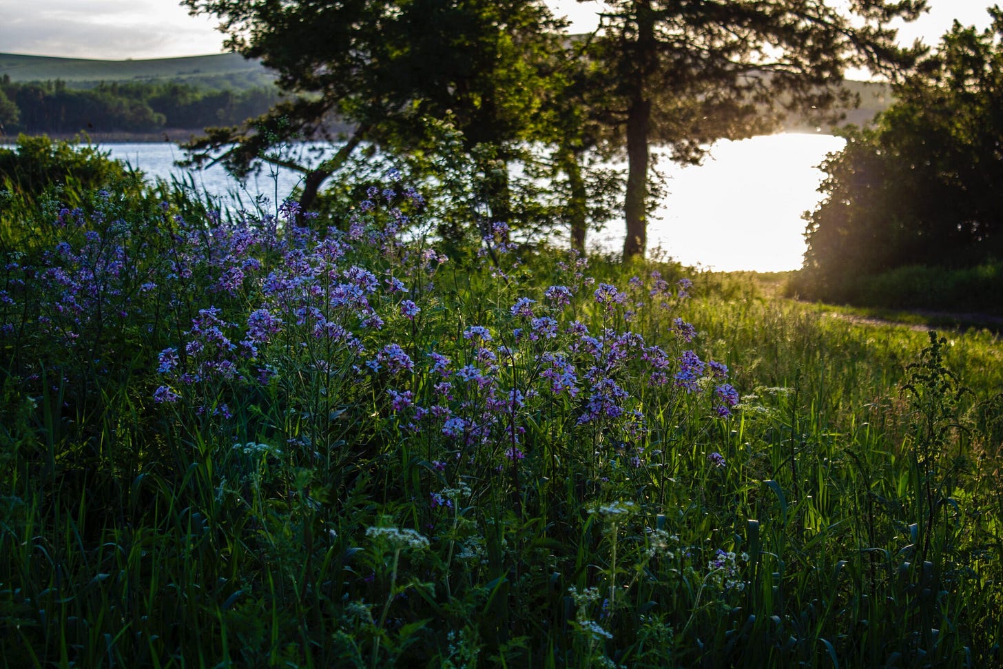 Three Prose Poems on Minnesota Moments by Davis Smith