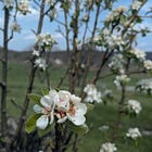 At the Moment: April