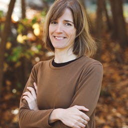 Alas de mariposa logo