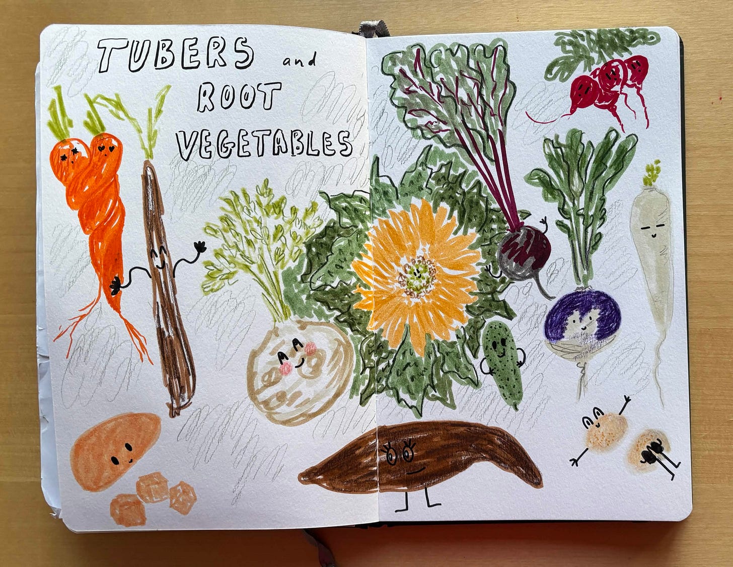 Photo de la double-page du sketchbook sur laquelle Teresa a dessiné des tubercules et légumes-racines avec un visage, d'après les photos de référence de la session.