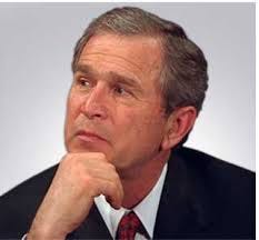 bush bush
