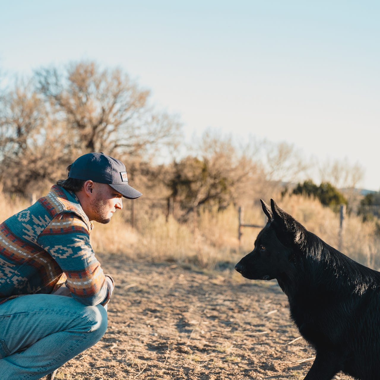 The Dog Training Insider