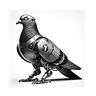 Robot Pigeon