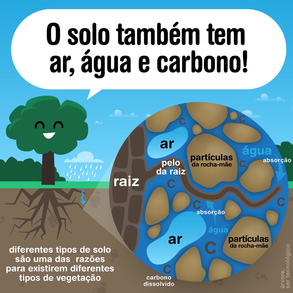 O solo também tem ar, água e carbono!, image size:1000x1000