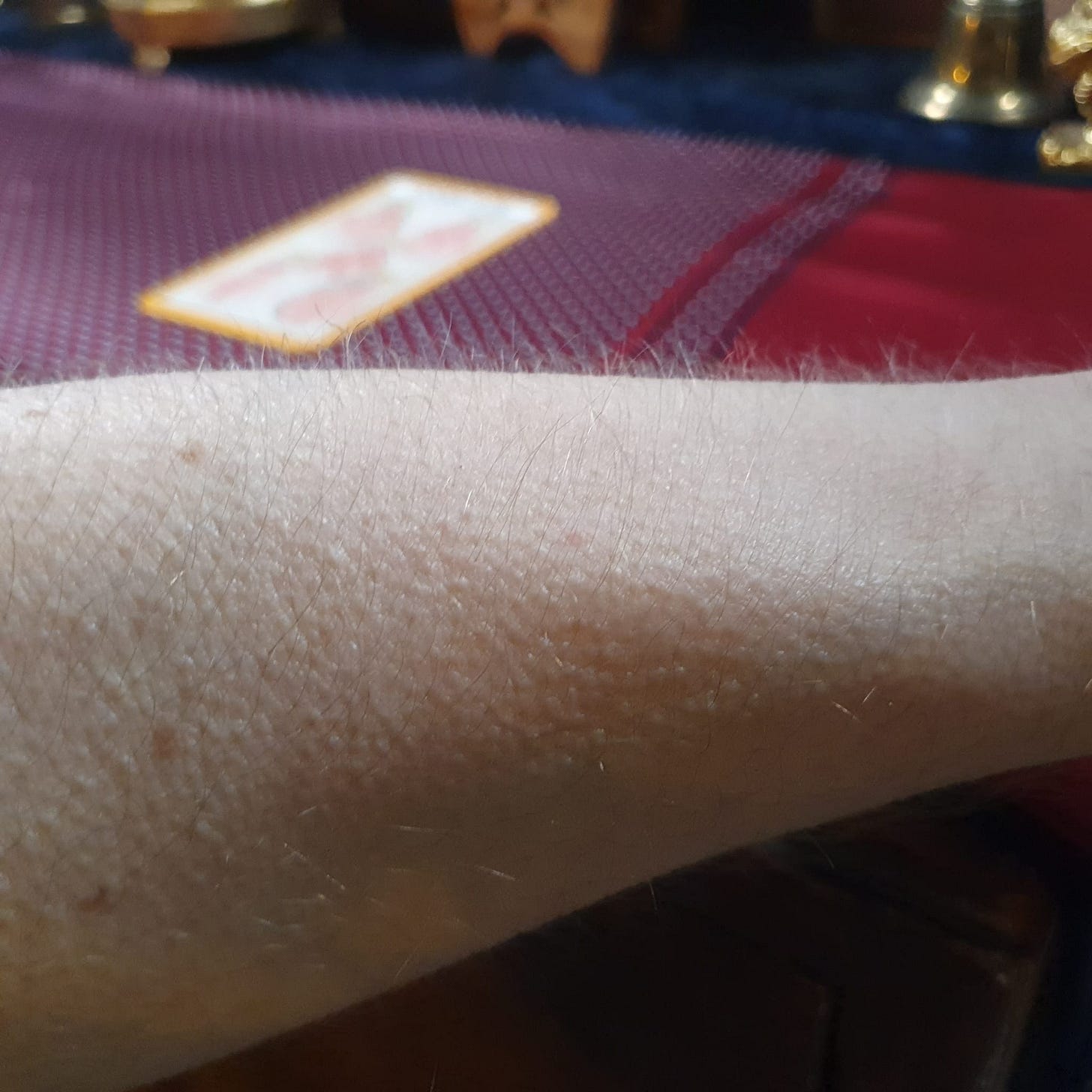 Close-up photograph of raised goosebumps on forearm reacting to uncanny tarot imagery - visual expression of emotional response to folklore and memory. Close-up photograph of raised goosebumps on forearm reacting to uncanny tarot imagery - visual expression of emotional response to folklore and memory.