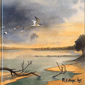 Loire d'Etienne Davodeau