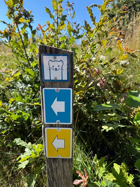 Images of the beach in sweden and few distant family members