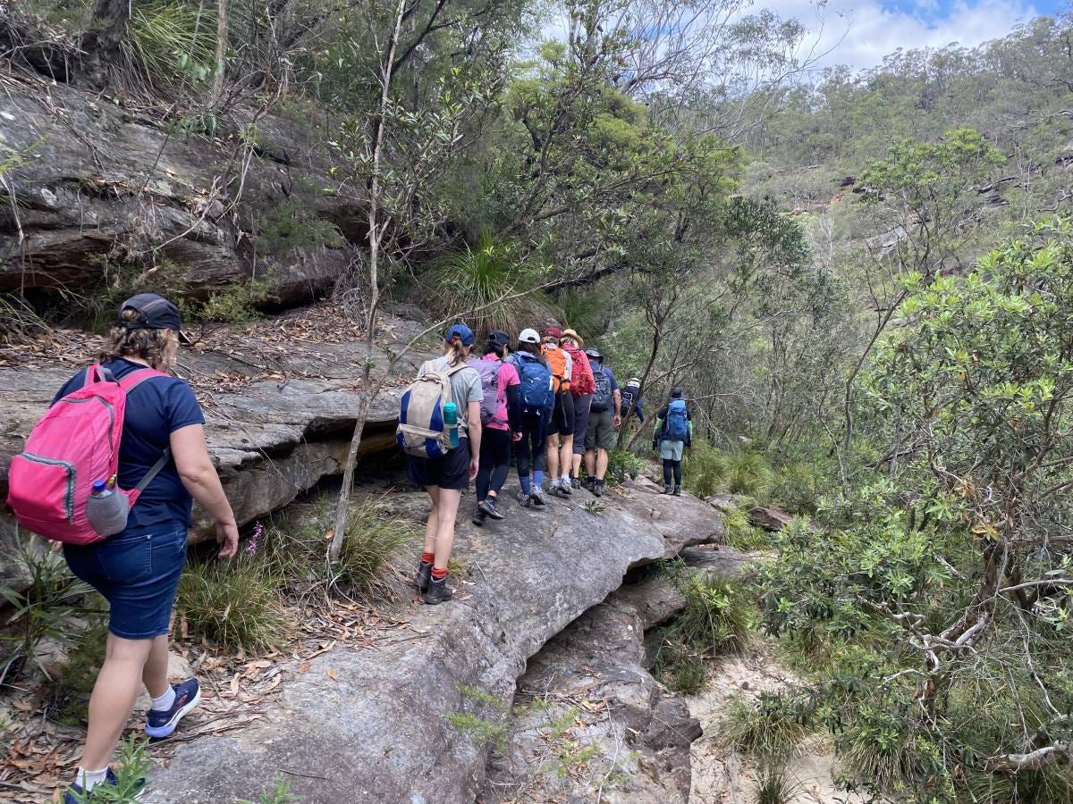 springwood bushwalking club