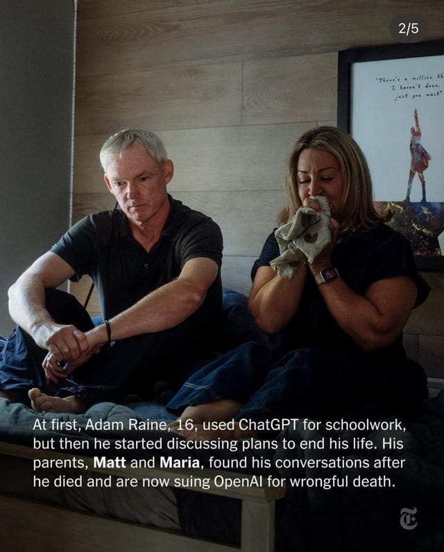 r/ChatGPT - From NY Times Ig