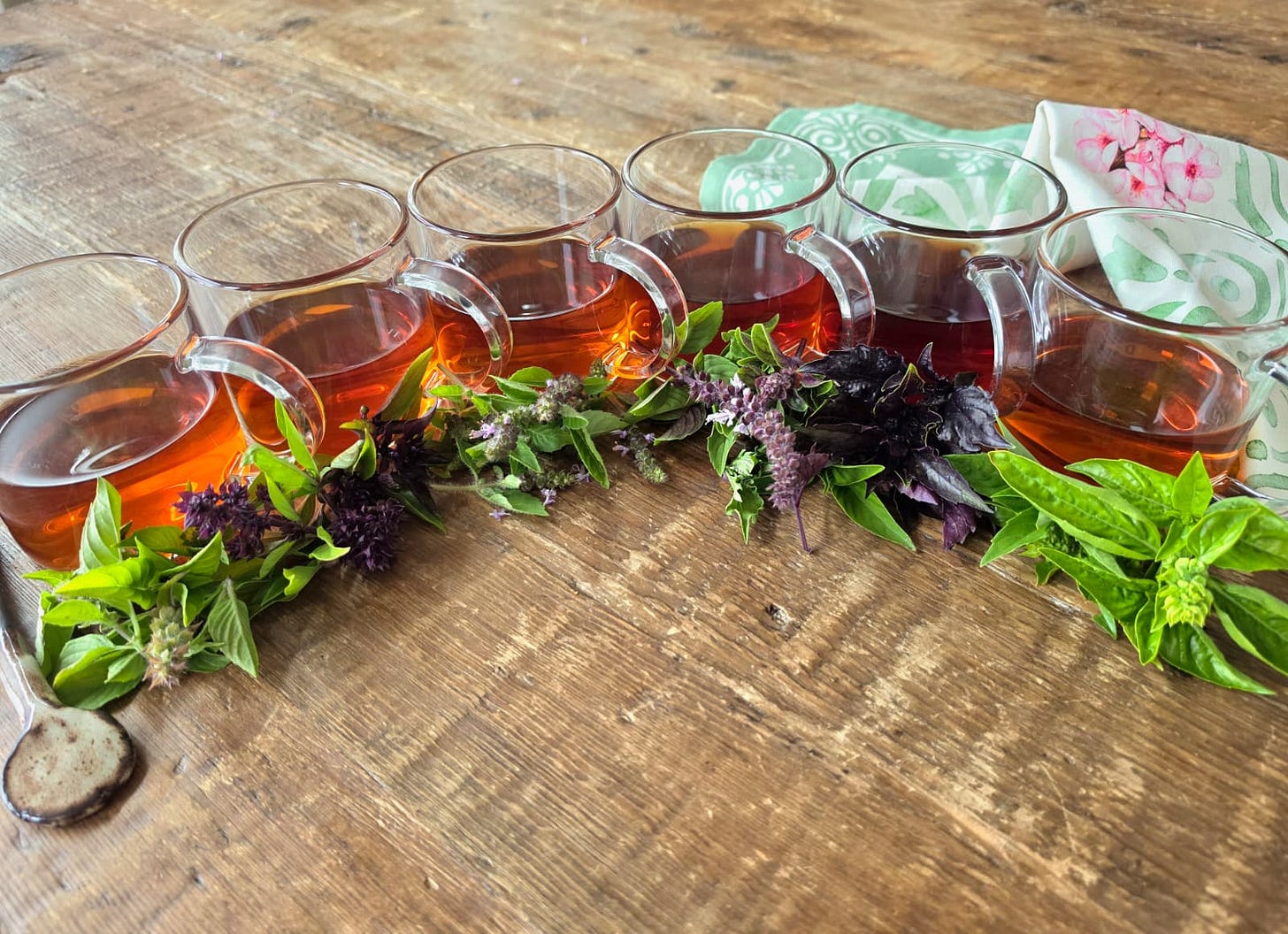 6 cups of tea with fresh basil leaves and a spoon in front and a kitchen towel in the back 6 cups of tea with fresh basil leaves and a spoon in front and a kitchen towel in the back