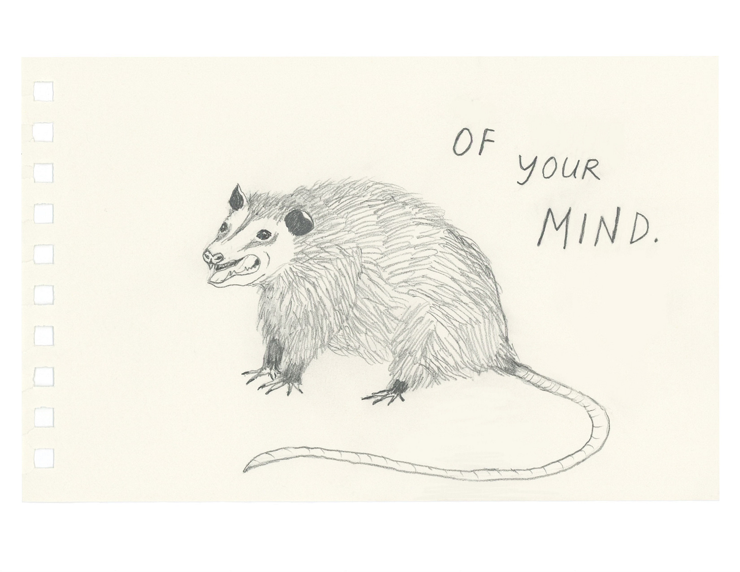 A pencil drawing of an opossum, still showing teeth but frankly looking exhausted. The words OF YOUR MIND are on the right side of the opossum. 