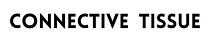 Connective Tissue