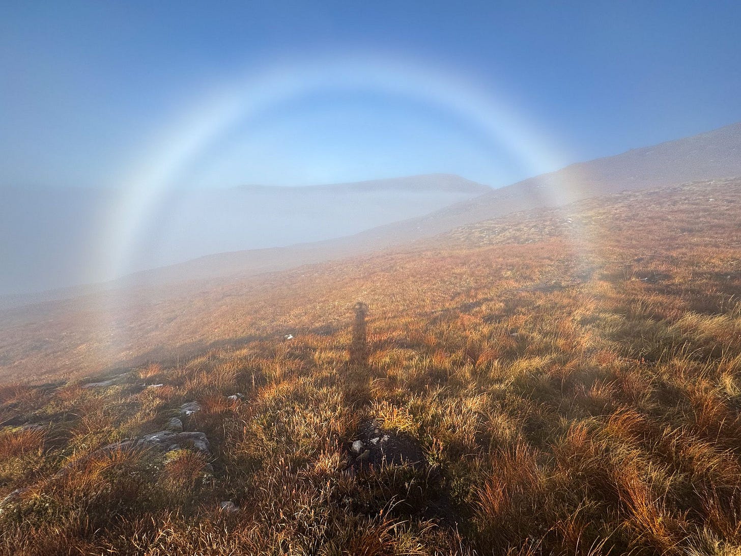 No alternative text description for this image