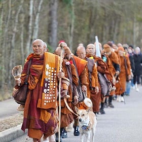 Walking Peace Home