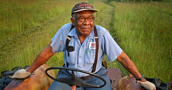 Top 10 Local Black-Owned Farms That You Should Support