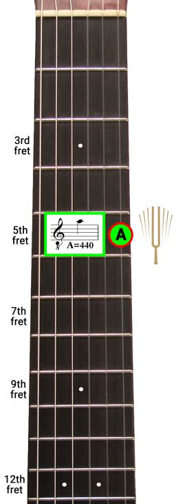 Master Guitar Fretboard: Ultimate Trainer | Douglas Niedt