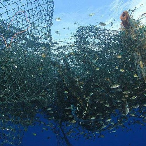 Artwork for Tamas’s Substack