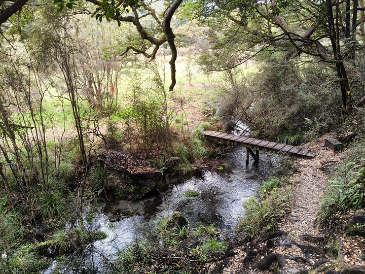 A bridge over a side creek, an orange DOC marker shows the way, Rotoroa shortly after dawn, the wood burner during a lit period at West Sabine Hut