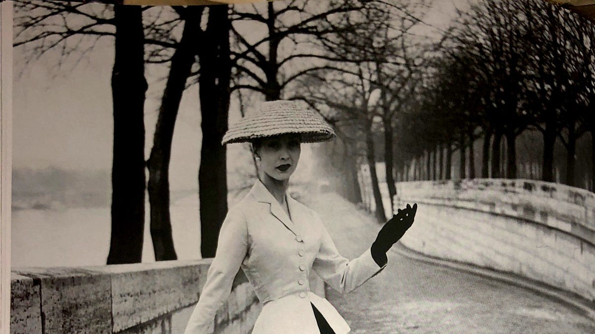 sachin and babi light blue dress Richard Avedon | Dovima with Elephants, Evening Dress by Dior, Cirque  d'Hiver, Paris | 1955