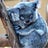 User's avatar