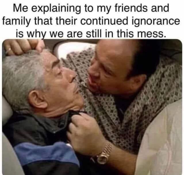 May be an image of 1 person and text that says 'Me explaining to my friends and family that their continued ignorance is why we are still in this mess.'