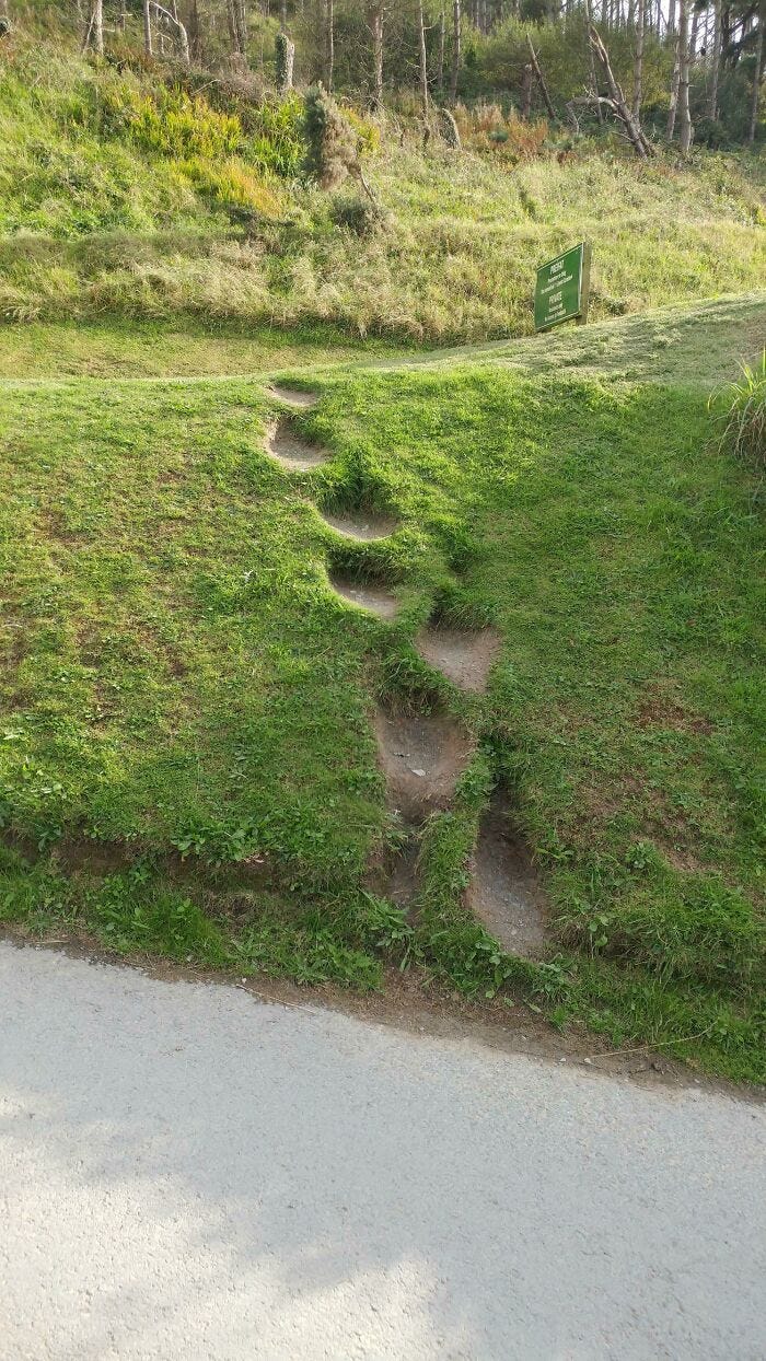 Desire Stairs
