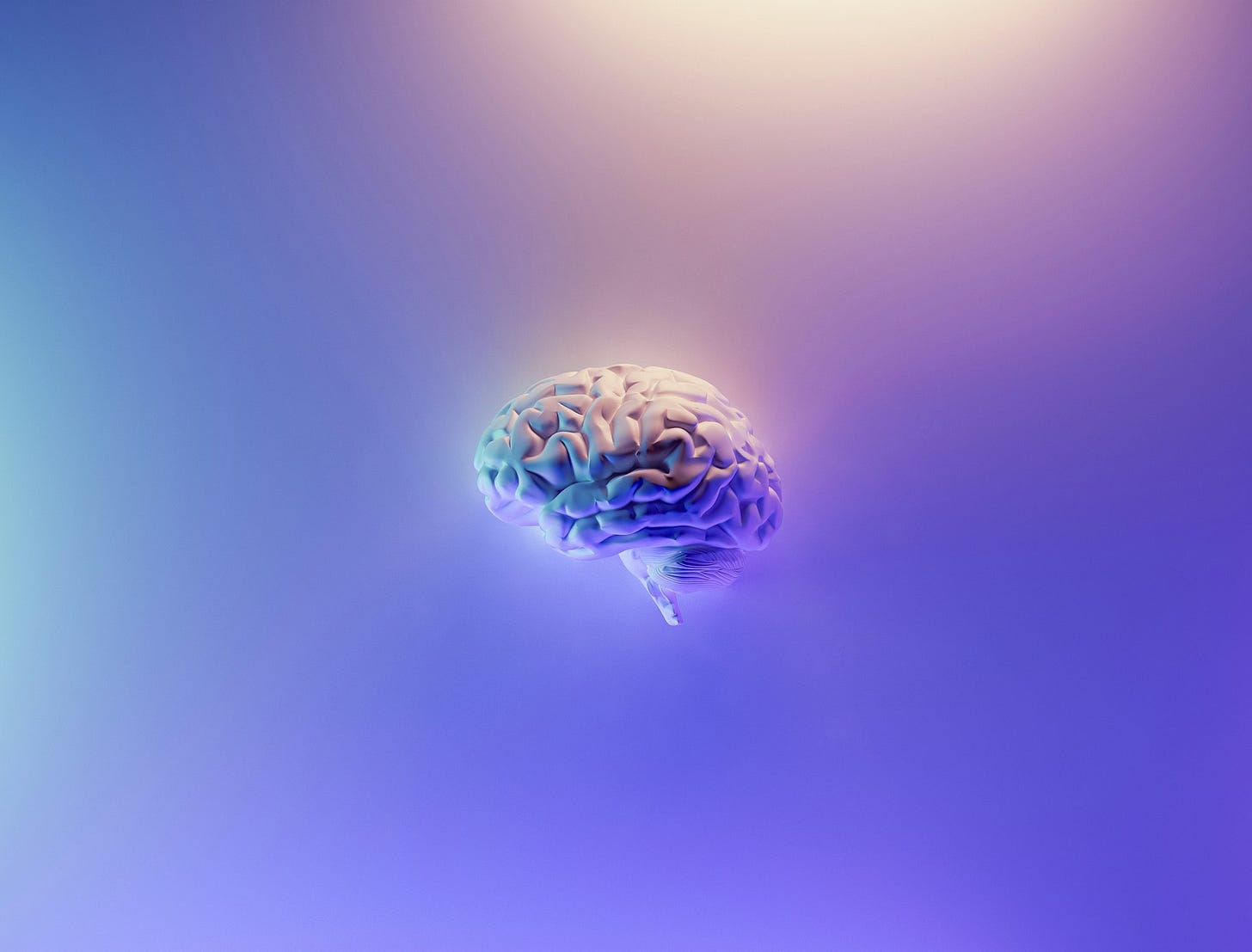 brain brain