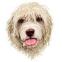 Nihils Yurievich's avatar